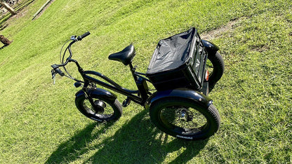 KST Electric Trike Bike Fat Tire 48V12AH