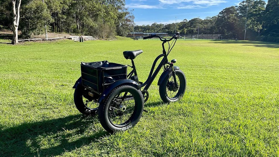 KST Electric Trike Bike Fat Tire 48V12AH