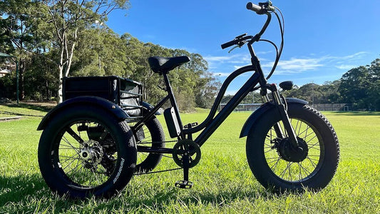 KST Electric Trike Bike Fat Tire 48V12AH